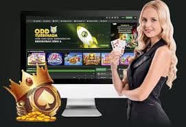811bet11